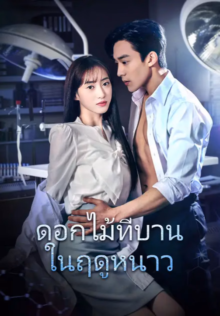 ดอกไม้ที่บานในฤดูหนาว