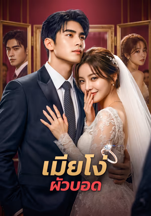 เมียโง่ ผัวบอด