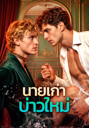 นายเก่า บ่าวใหม่