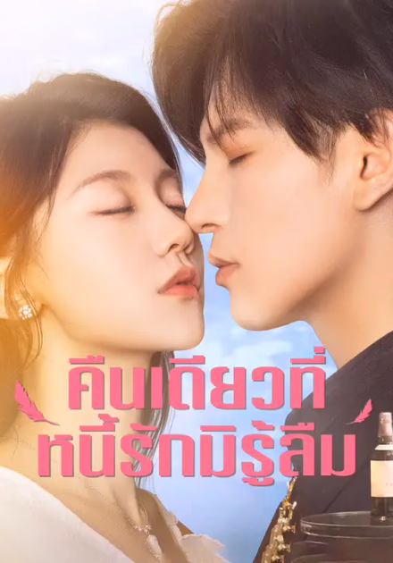 คืนเดียวที่หนี้รักมิรู้ลืม