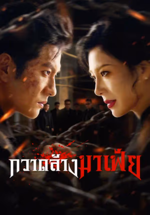 กวาดล้างมาเฟีย