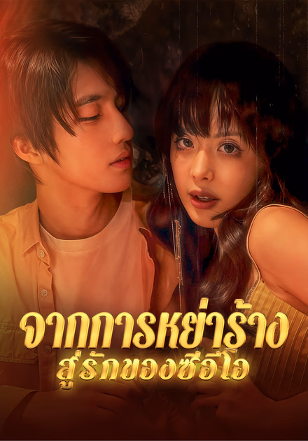 จากการหย่าร้างสู่รักของซีอีโอ