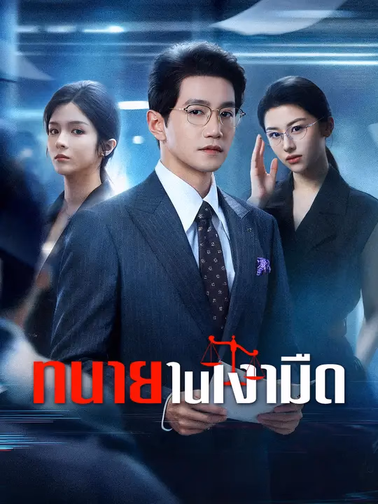 ทนายในเงามืด