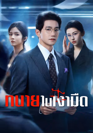 ทนายในเงามืด