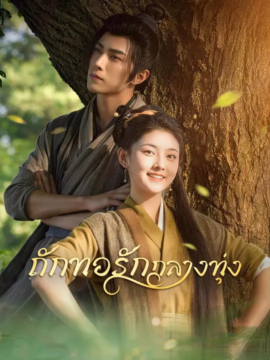ถักทอรักกลางทุ่ง