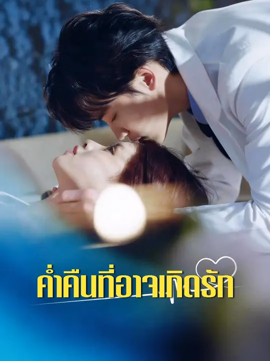 ค่ำคืนที่อาจเกิดรัก